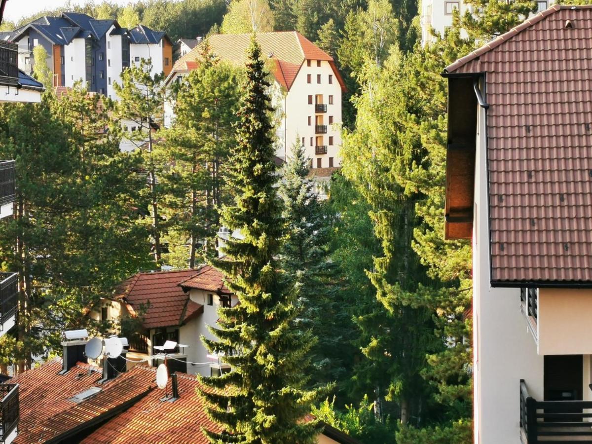 Zlatibor, Centar, Bella * Zlatibor